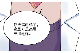 阳谷企业清欠服务